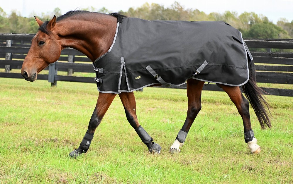 Gatsby Premium 1200D Heavyweight Waterproof Turnout Blanket 78" Black