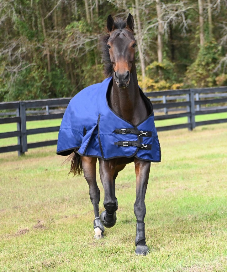 Gatsby Premium 1200D Heavyweight Waterproof Turnout Blanket 78" Deep Blue