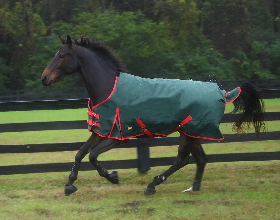 Gatsby Premium 1200D Heavyweight Waterproof Turnout Blanket 81" Dark Green