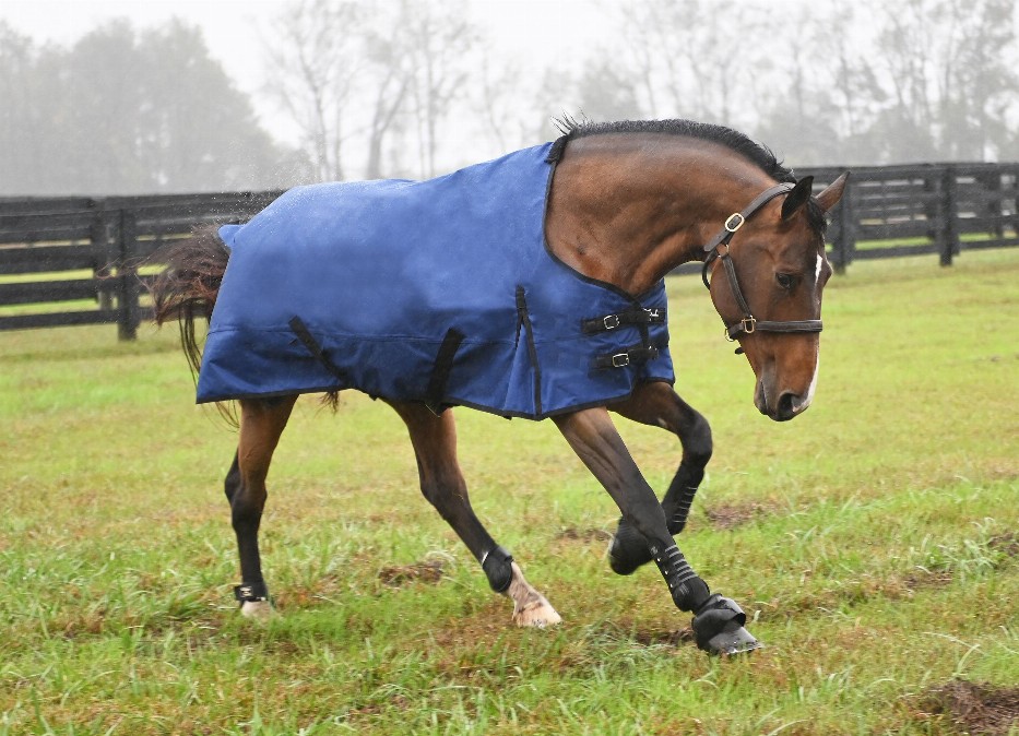 Gatsby Premium 1200D Waterproof Turnout Sheet 84" Deep Blue