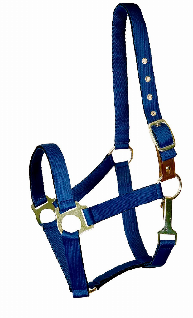 Gatsby Ultra Soft Nylon Safety Halter Horse Navy