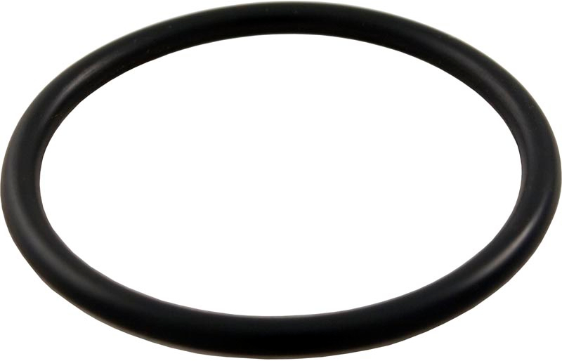 O-Ring, Fits Waterway Mpv