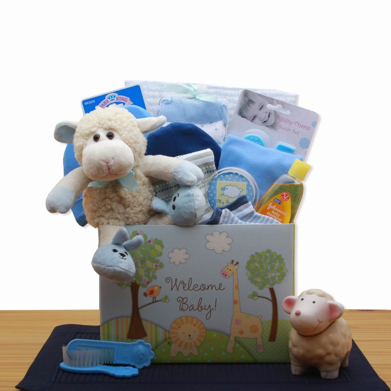 New Baby Gift Baskets - 18x12x8 inWelcome New Baby Gift Box - Blue