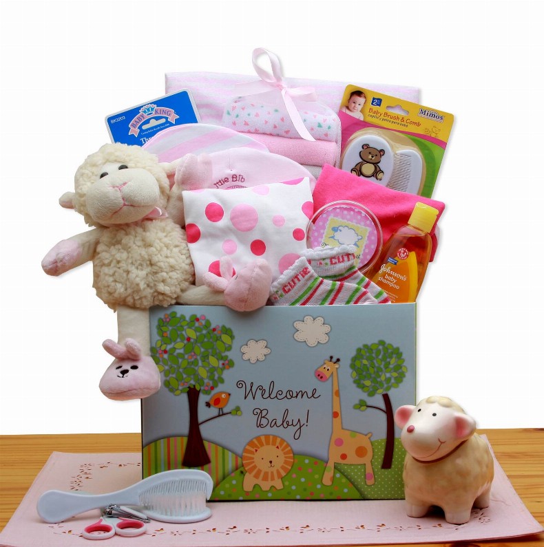New Baby Gift Baskets - 18x12x8 inWelcome New Baby Gift Box - Pink