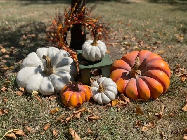 Pumpkins - LARGE Orange