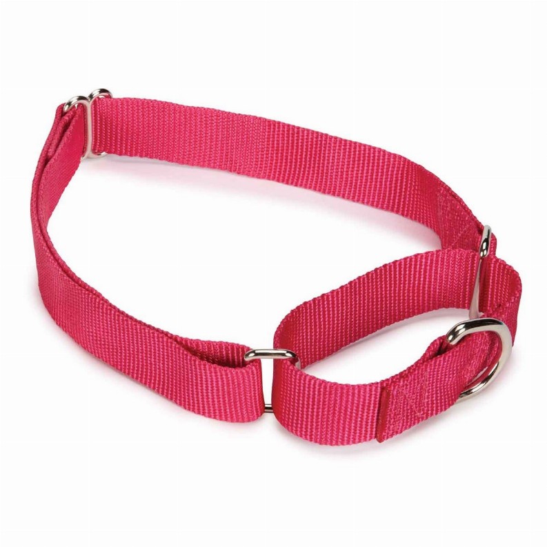 GG Nylon Martingale Collar 10-16in Pink