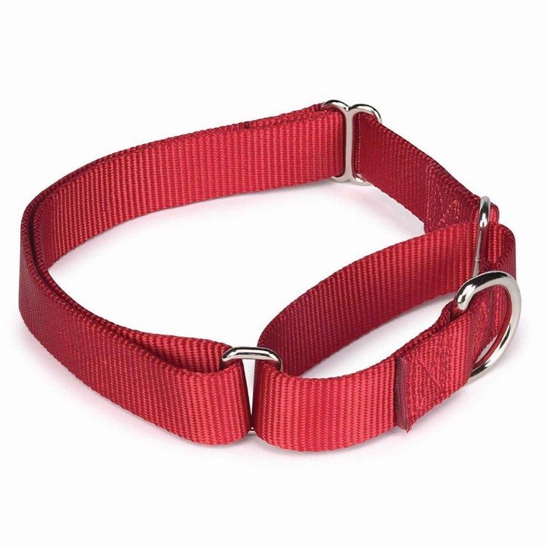 GG Nylon Martingale Collar 10-16in Red
