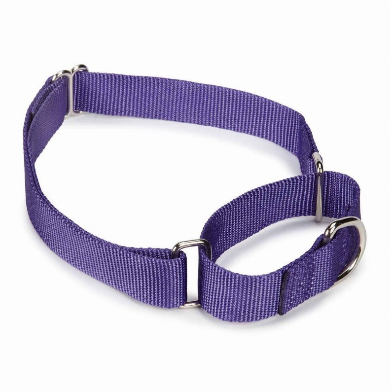 GG Nylon Martingale Collar 14-20in Purple