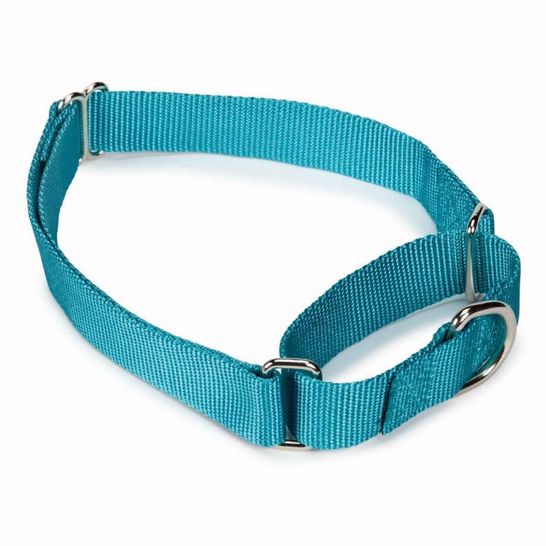 GG Nylon Martingale Collar 18-26in Light Blue