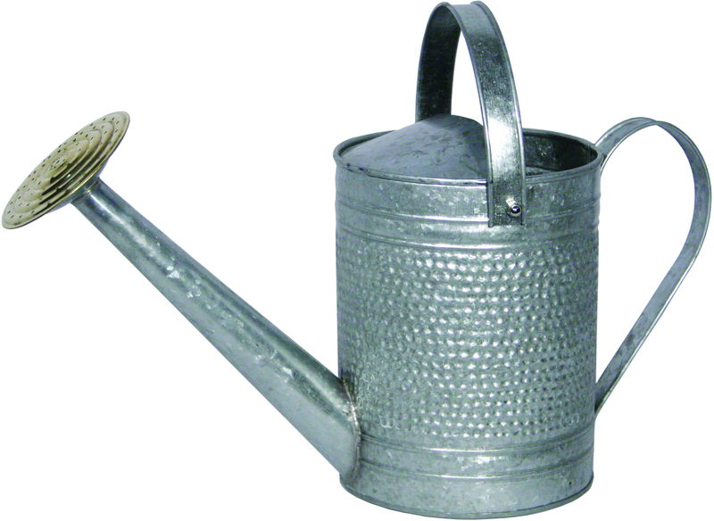 Mpt01191 Galvanized 1Ga Watering Can