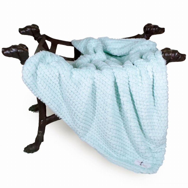 Paris Dog Blanket - Throw Ice