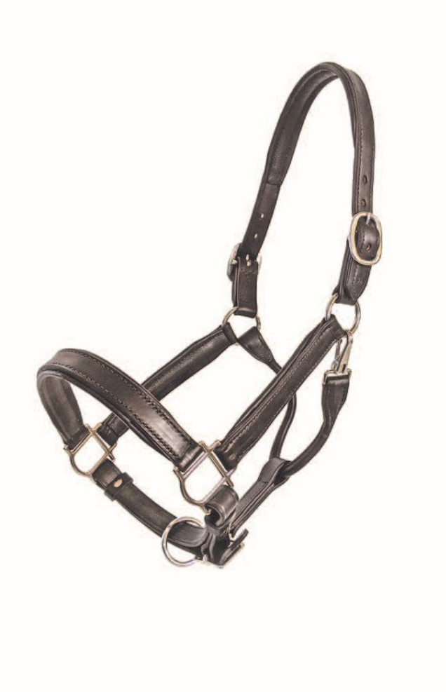 1" Black Padded Halter COB Black