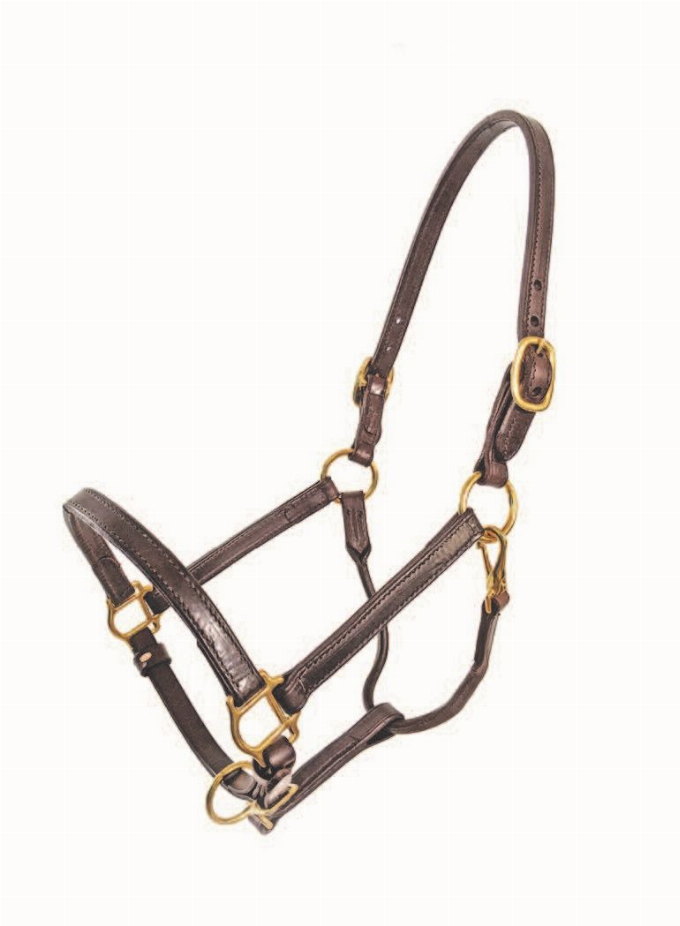 3/4" Leather Halter