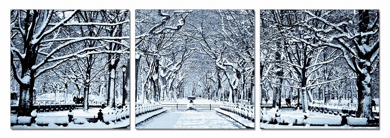 24" Multicolor Canvas 3 Horizontal Panels Winter Trees Photo