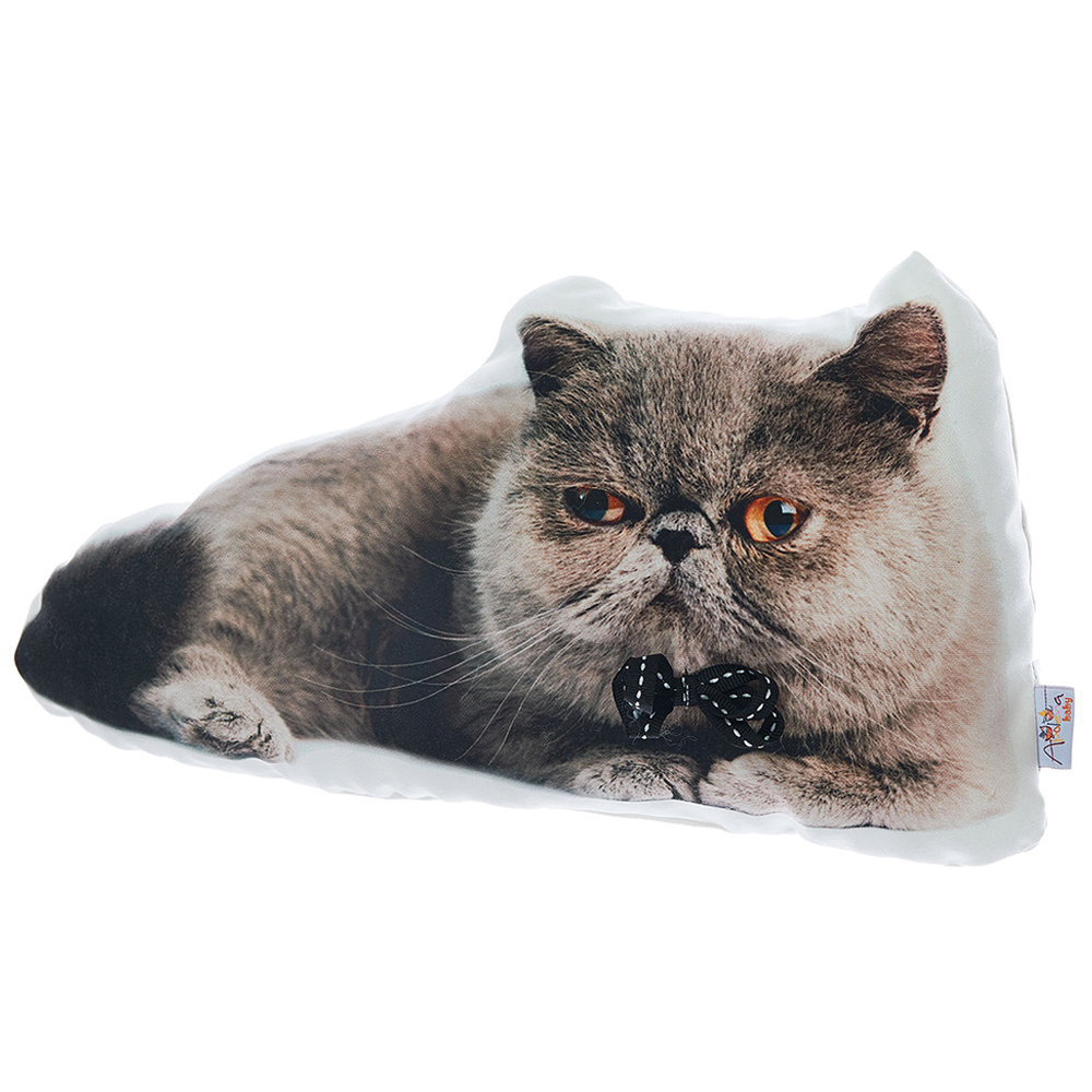 Filled Pillow with Exotic Shorthair Cat Shape, Animal Shaped Pillow