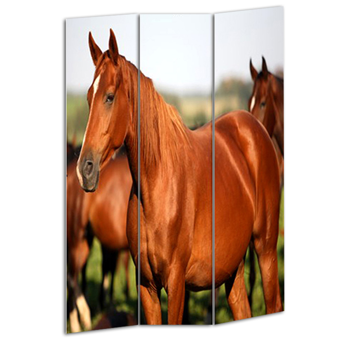 1" x 48" x 72" Multi Color Wood Canvas Horse Screen