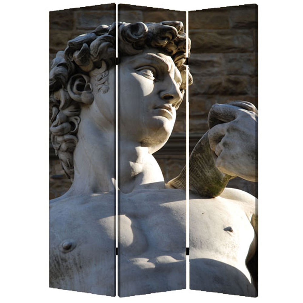 1" x 48" x 72" Multi Color Wood Canvas Rome Screen