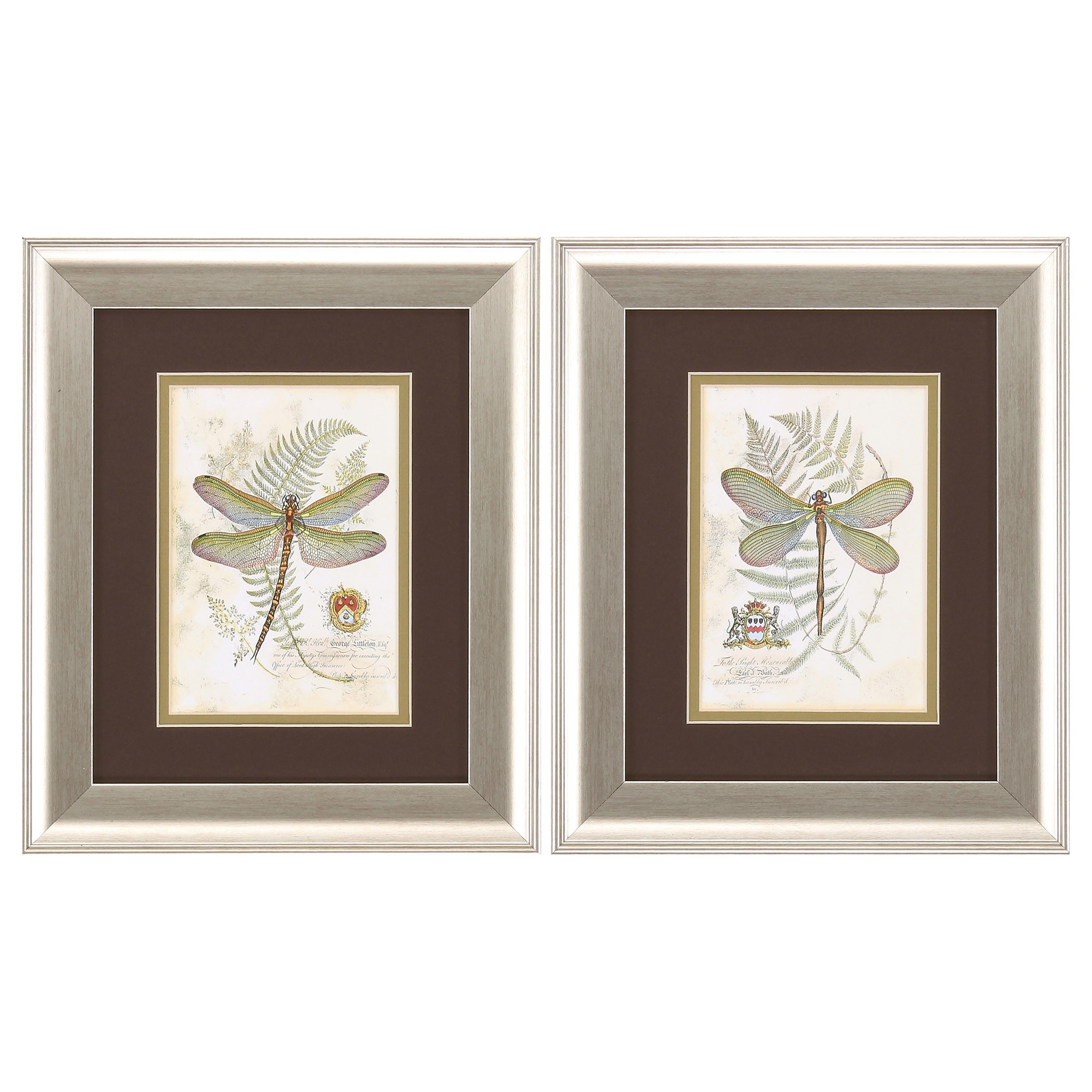 11" X 13" Brushed Silver Frame Dragonfly (Set of 2)