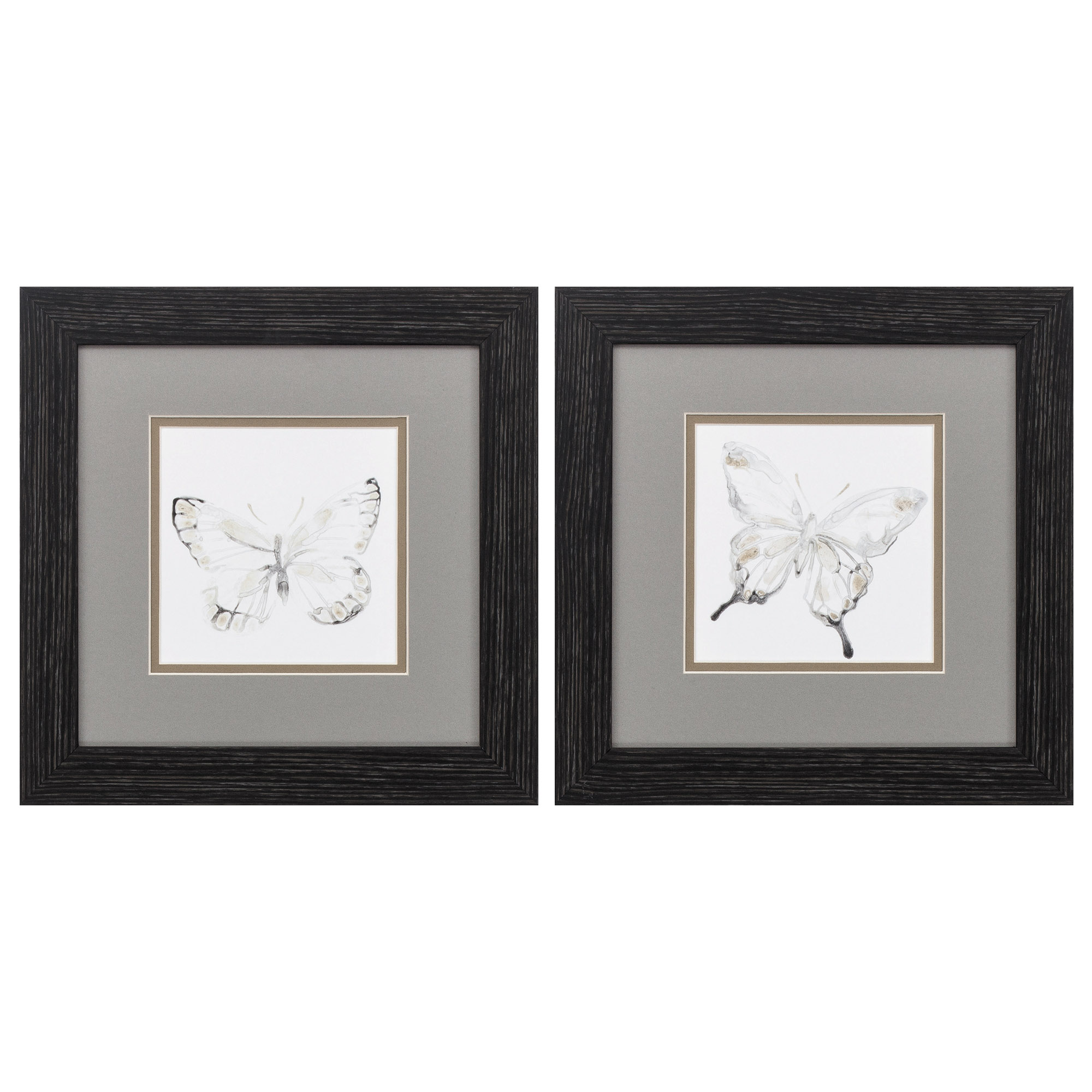 12" X 12" Distressed Black Frame Butterfly Impression (Set of 2)