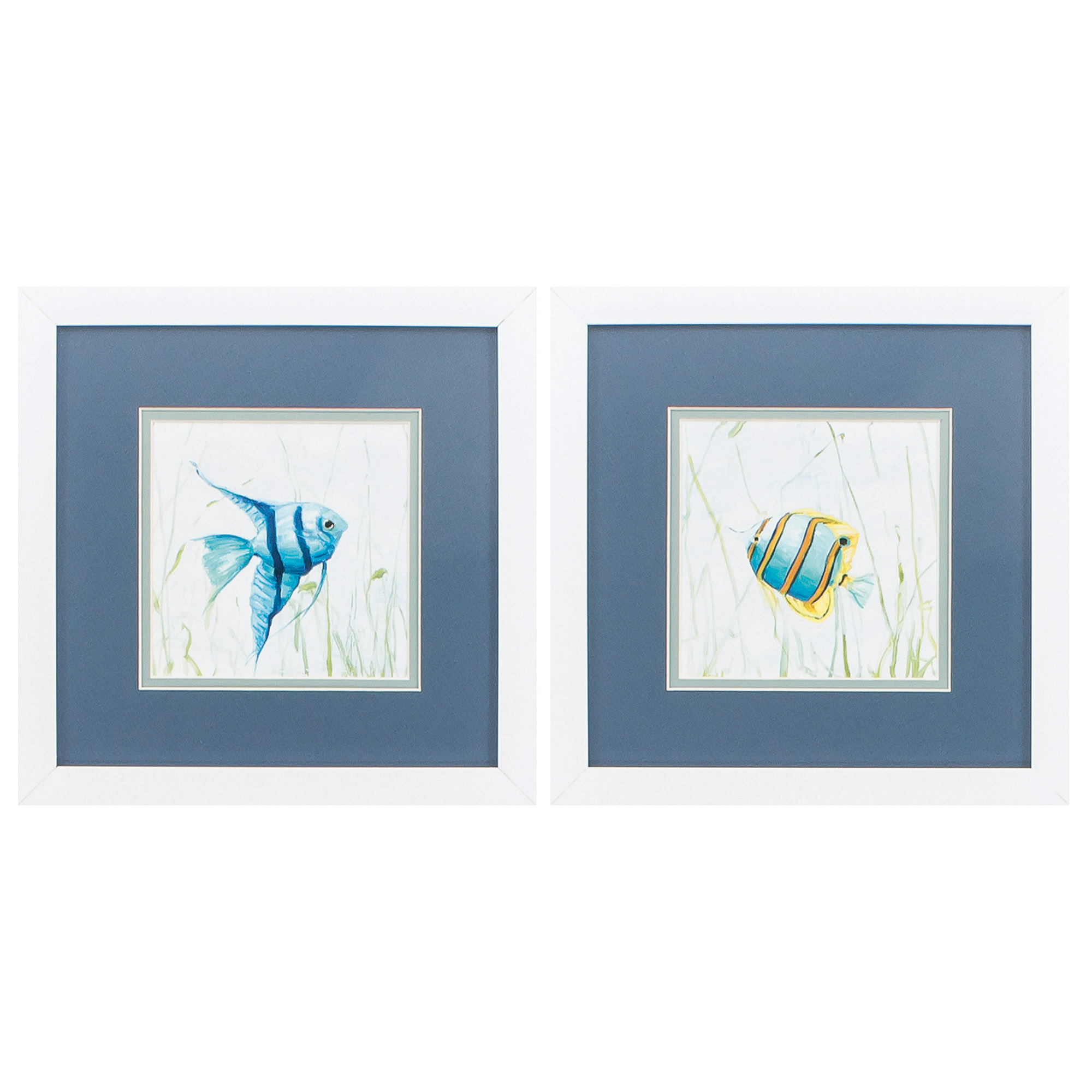 11" X 11" Matte White Frame Reef Encounter (Set of 2)