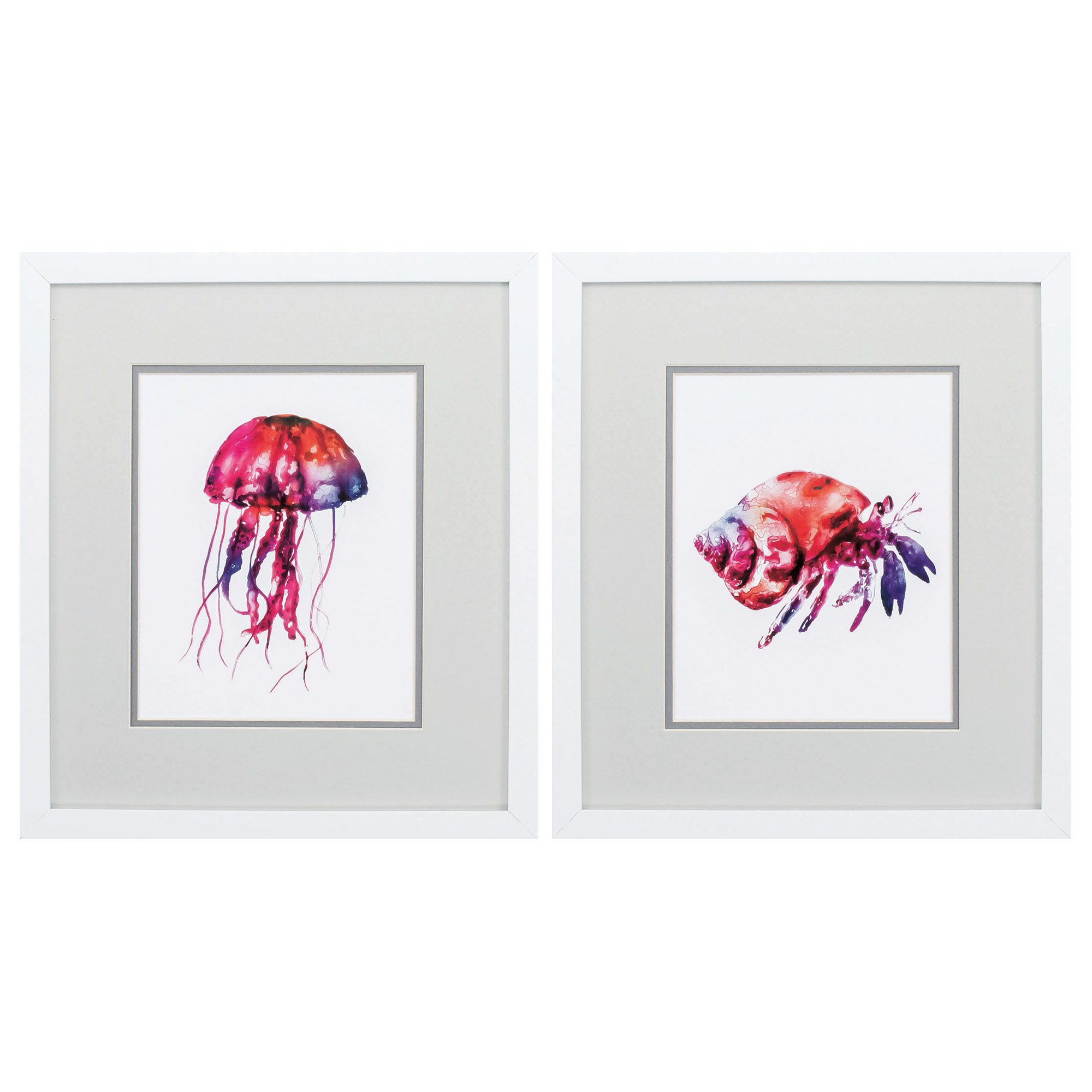 14" X 16" Matte White Frame Jellyfish Hermit (Set of 2)