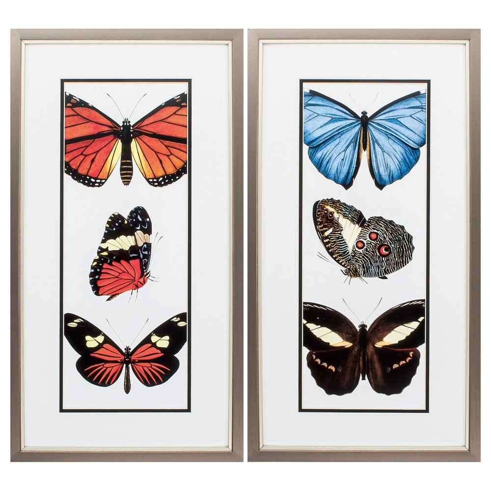 13" X 25" Metallic Bronze Frame Entomology Series (Set of 2)