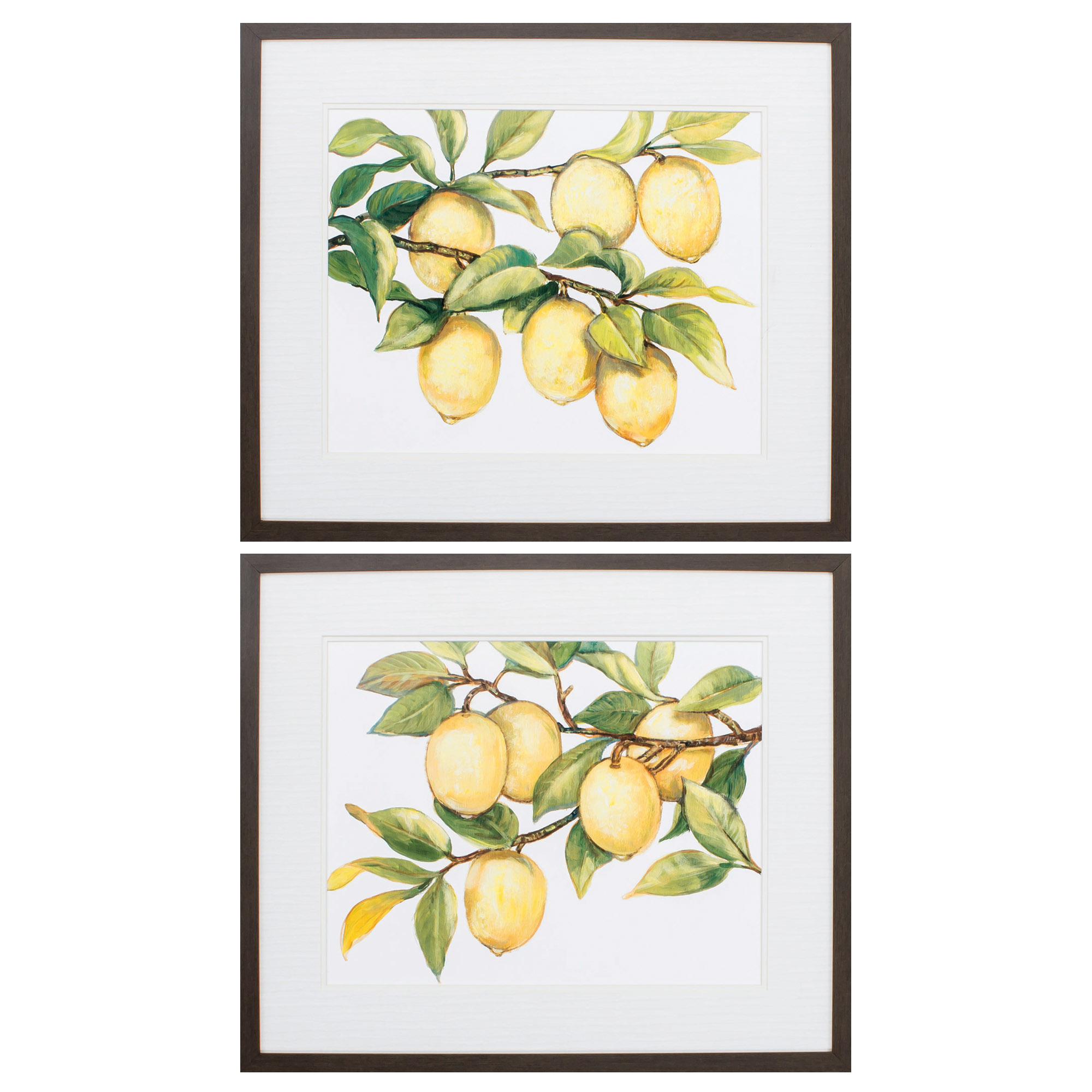 28" X 24" Brown Frame Ripe For Picking (Set of 2)