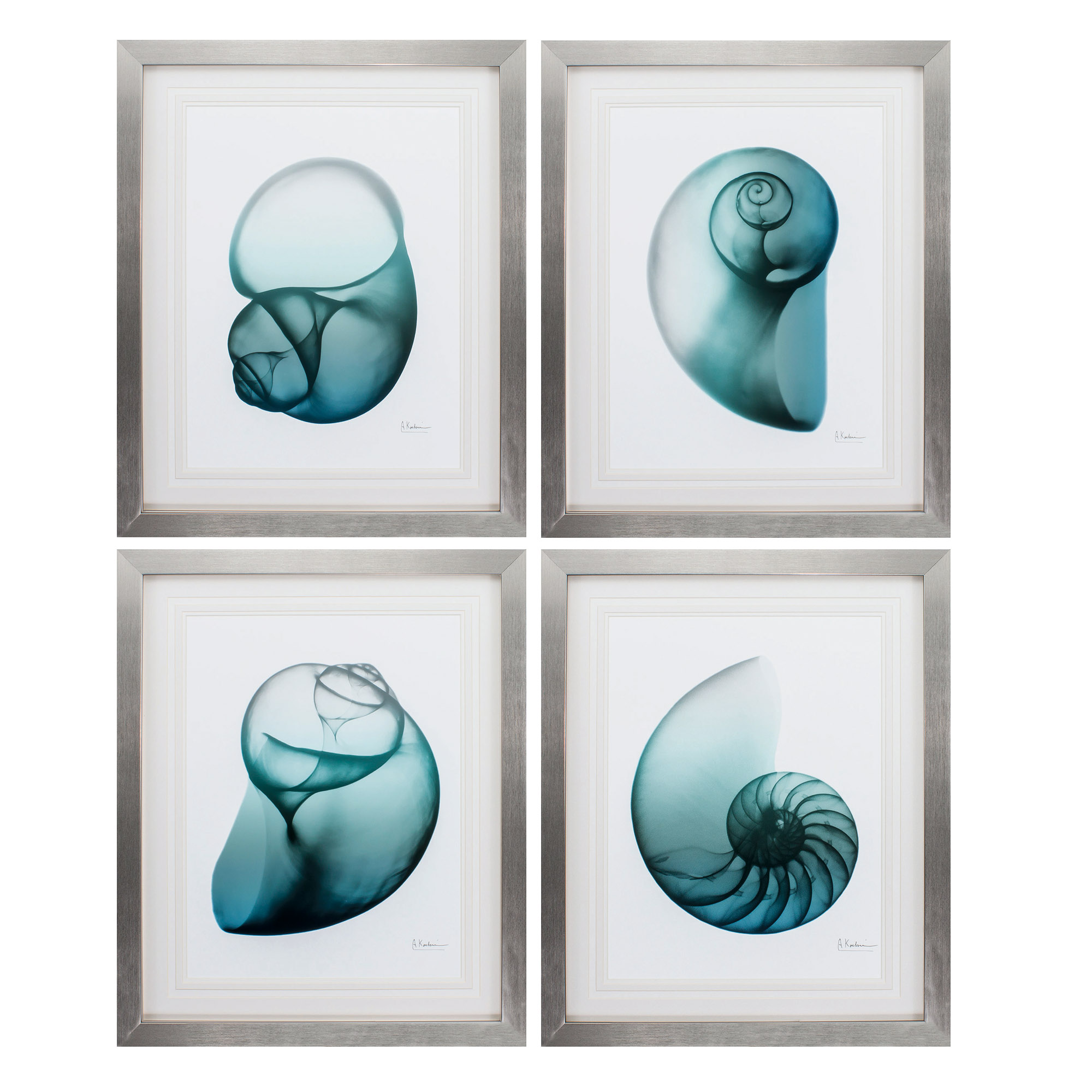 26" X 32" Silver Frame Blue Shell (Set of 4)
