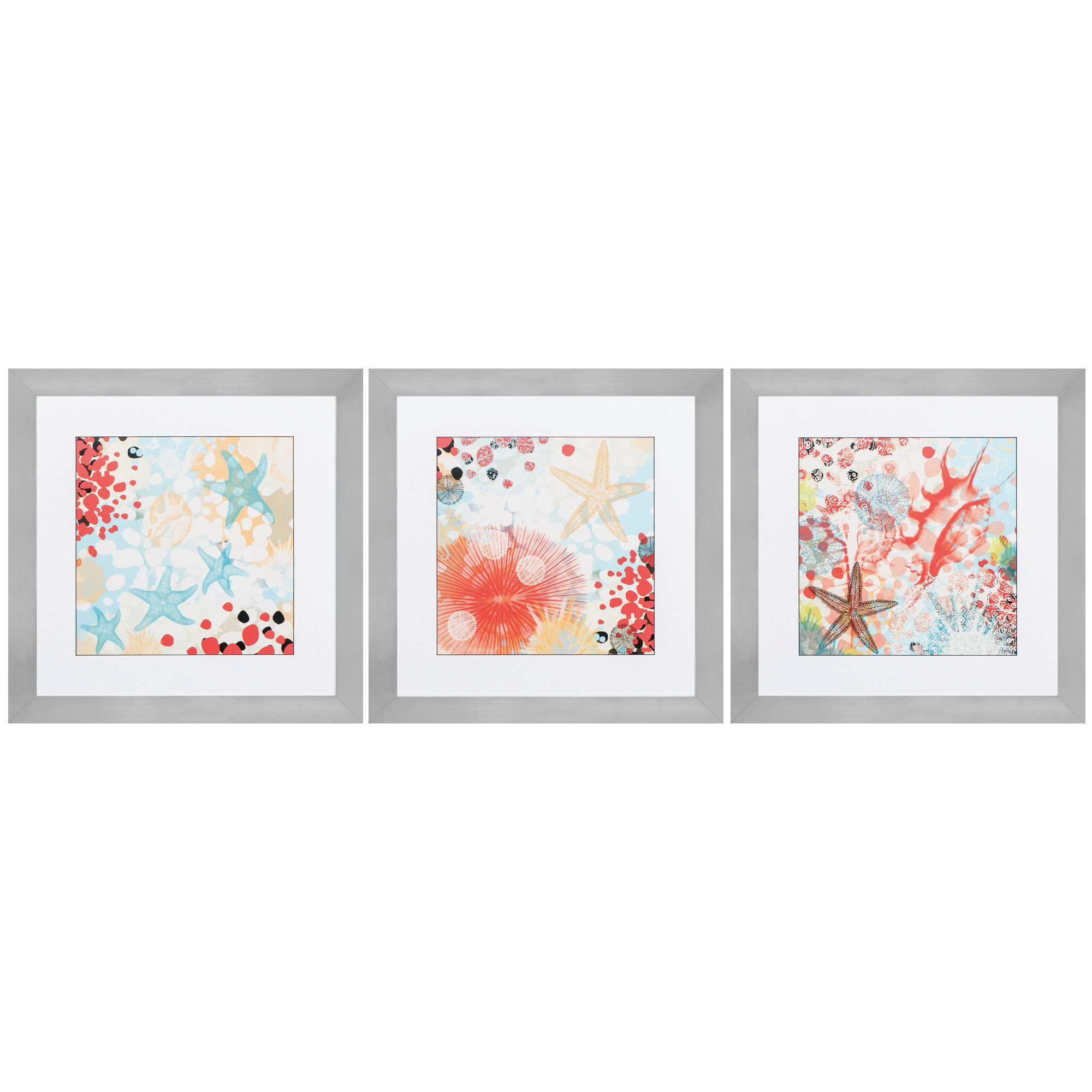 26" X 26" Silver Frame Exotic Sea Life (Set of 3)
