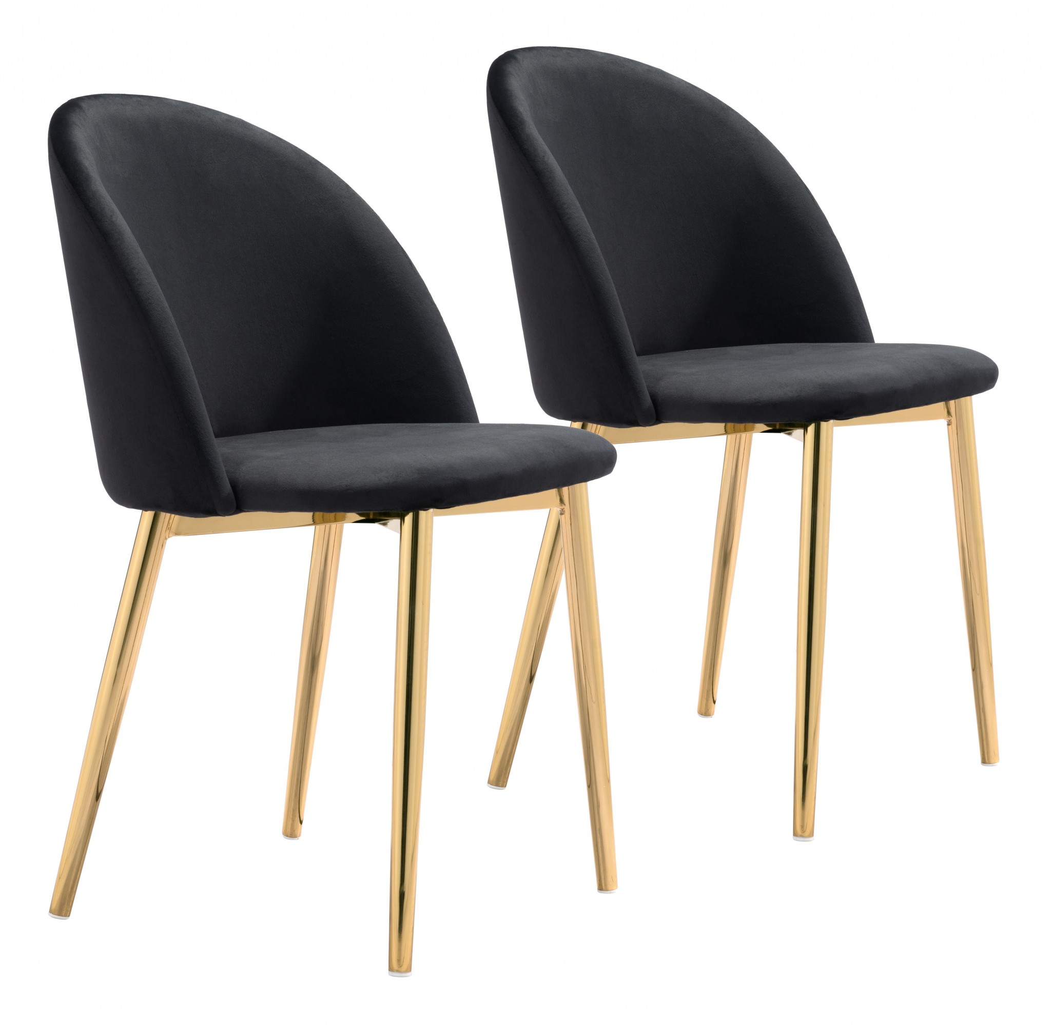 Set of Two Jet Black and Gold Modern Pringle Dining Chairs