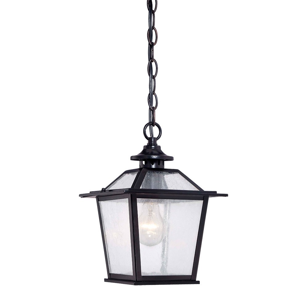 Matte Black Terrarium Shape Hanging Light