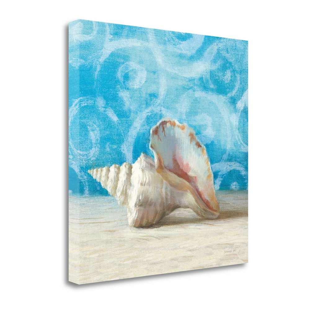 35" Mod Blue Scroll Coastal Conch 4 Giclee Wrap Canvas Wall Art