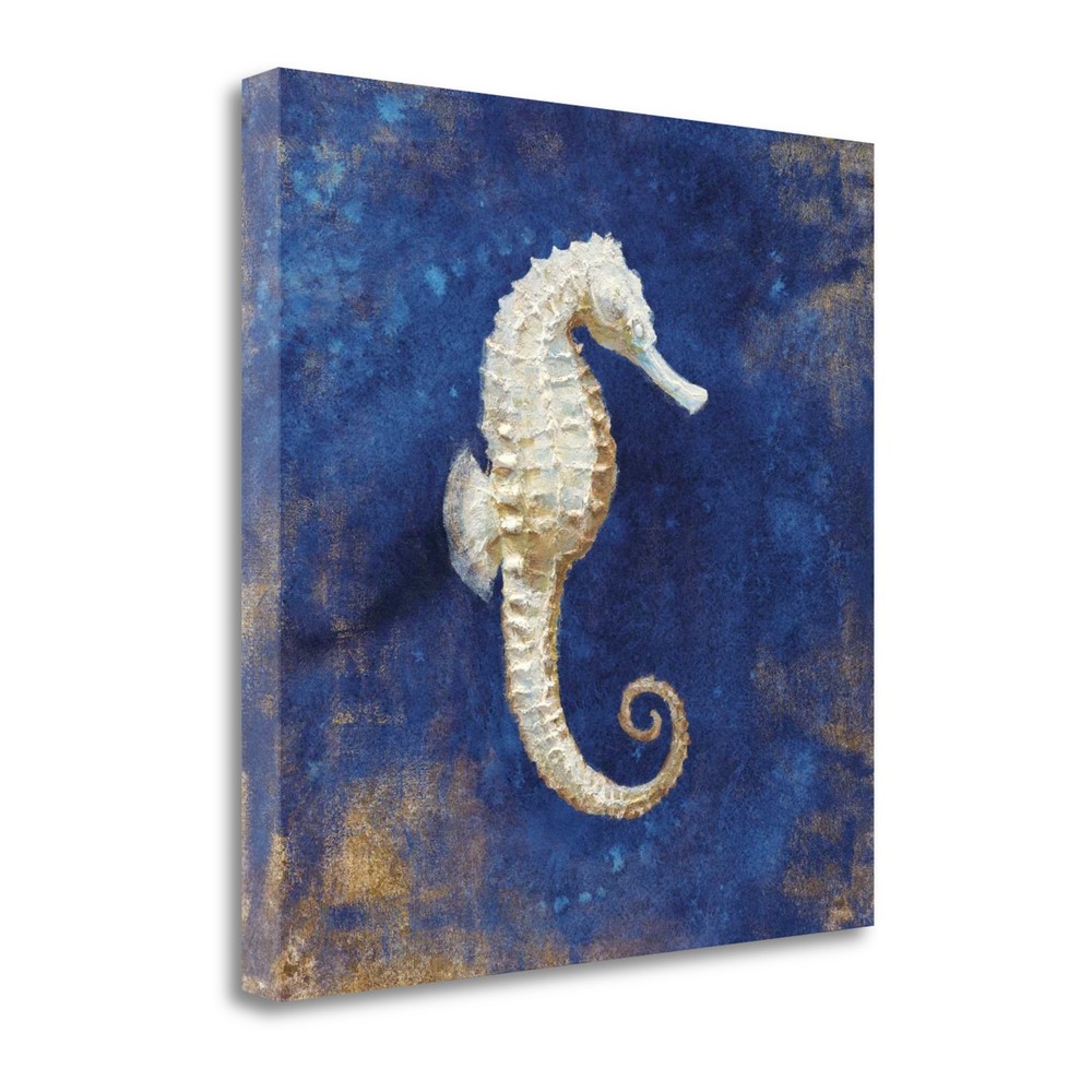 35" Rustic Deep Blue and Gold Seahorse Giclee Wrap Canvas Wall Art