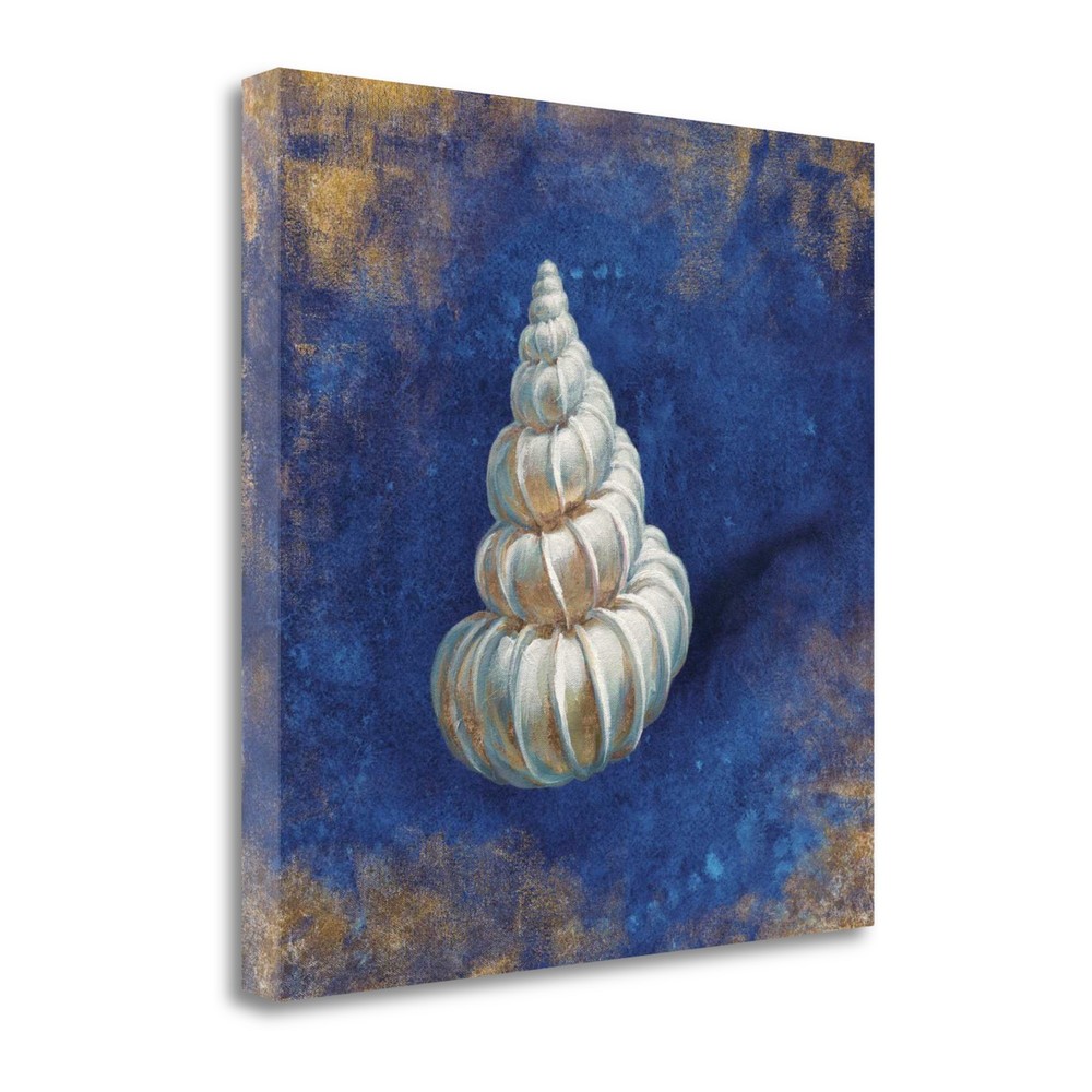 18" Rustic Deep Blue and Gold Shell Giclee Wrap Canvas Wall Art
