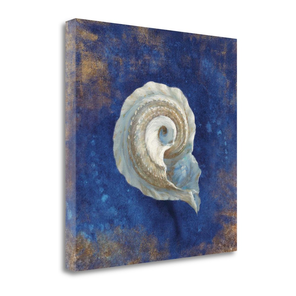 35" Rustic Deep Blue and Gold Conch Giclee Wrap Canvas Wall Art