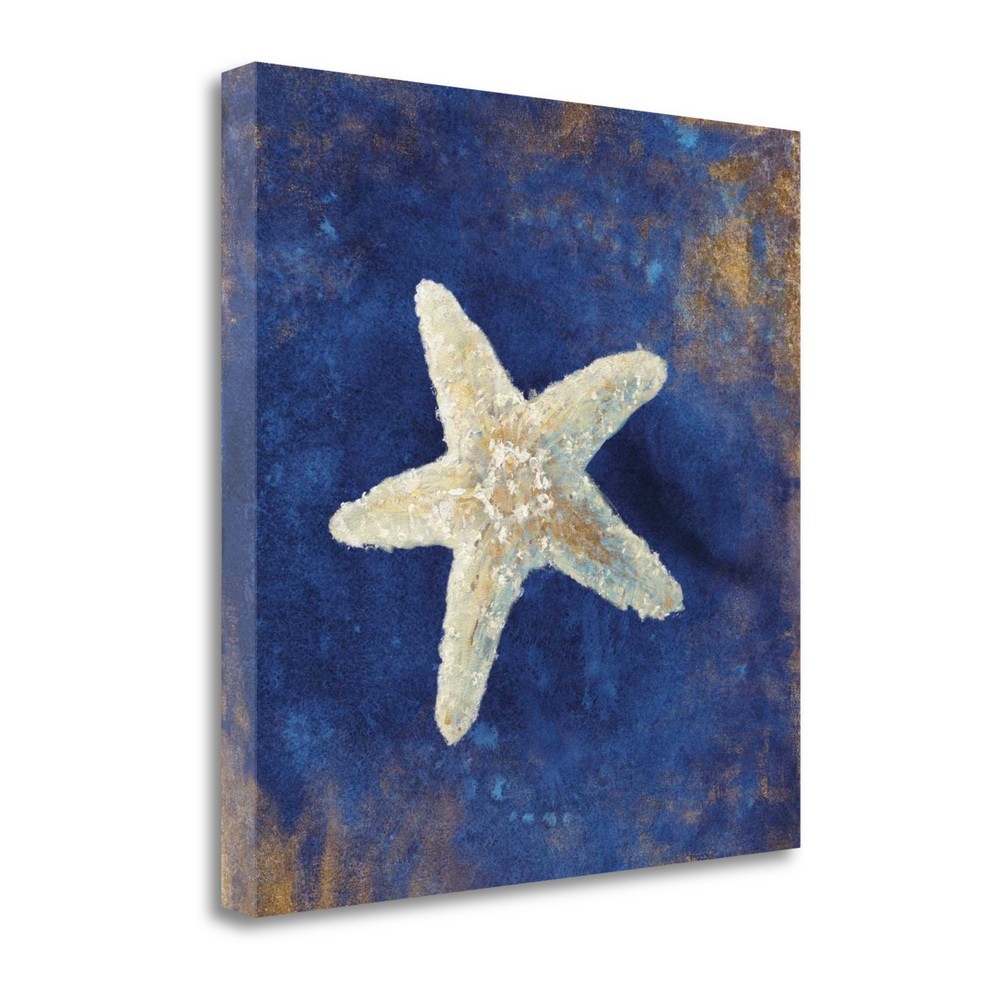 35" Rustic Deep Blue and Gold Starfish Giclee Wrap Canvas Wall Art
