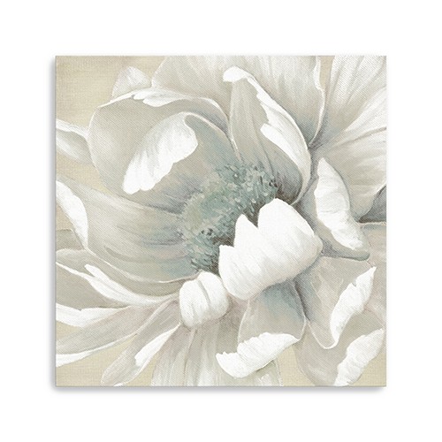 40" Soft Winter Flower in Bloom Canvas Wall Art