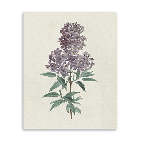 30" Singular Purple Blossom Branch Canvas Wall Art