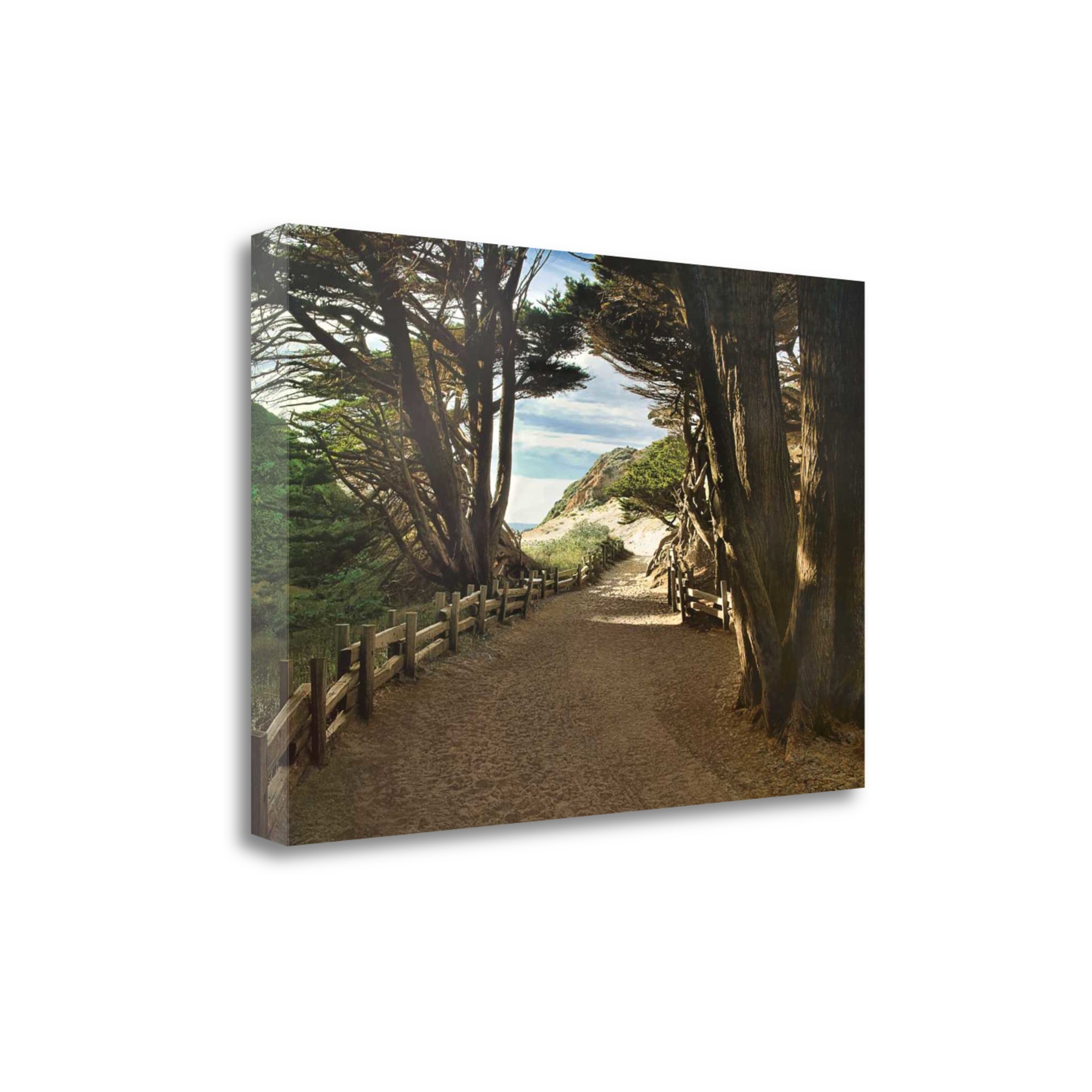 47" Forest Walk by the Beach Print on Gallery Wrap Canvas Wall Art