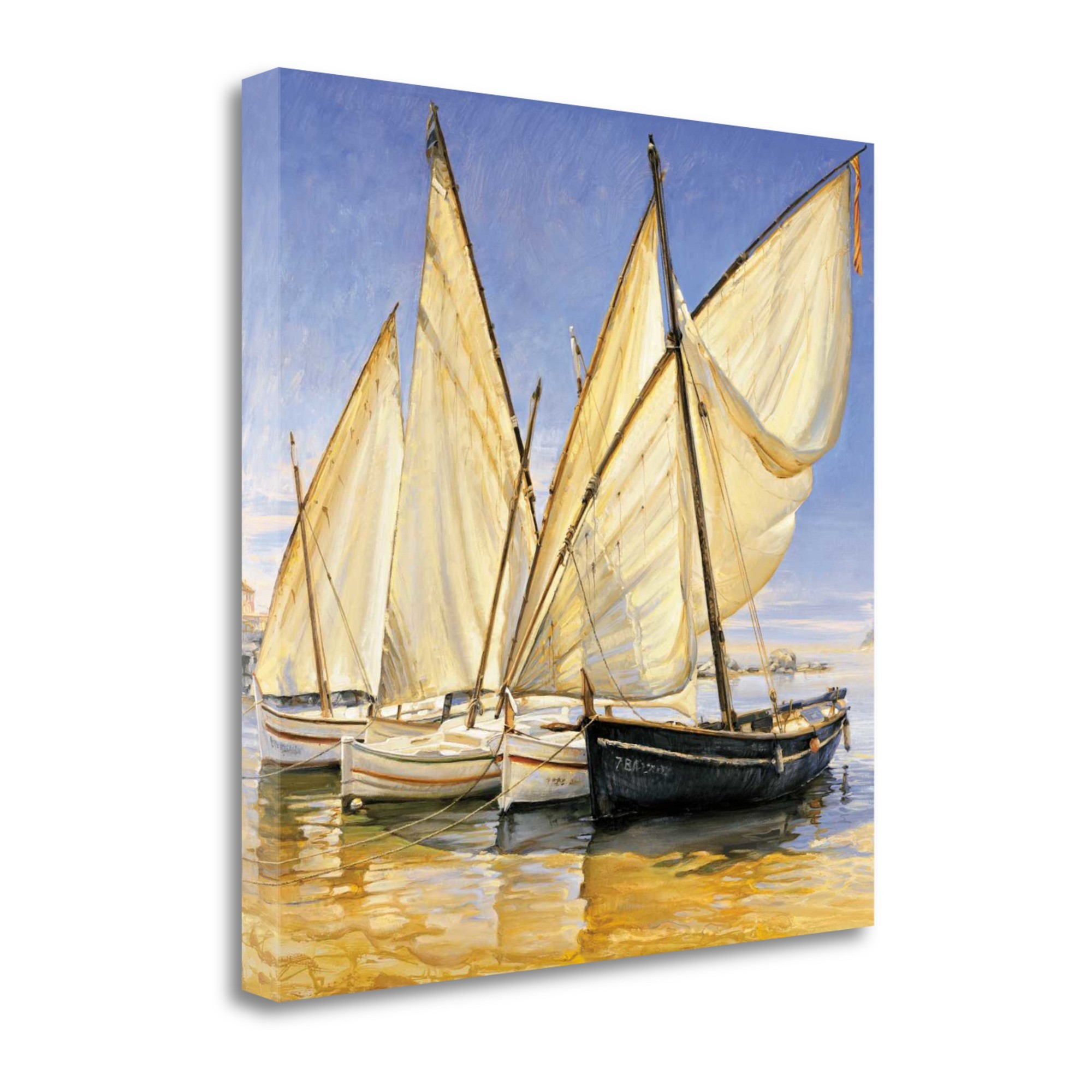35" Fleet of Boats with Royal White Sails Giclee Wrap Canvas Wall Art