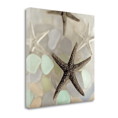 13" Four Starfish and Faded Seaglass 3 Giclee Wrap Canvas Wall Art
