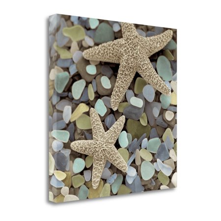 11" Two Starfish and Seaglass 2 Giclee Wrap Canvas Wall Art