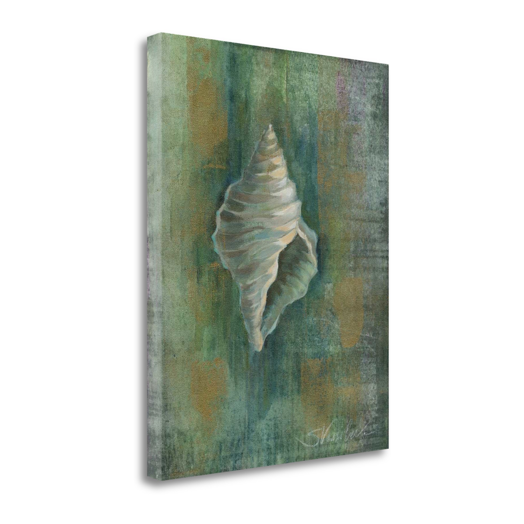 45" Blue and Green Seashell Giclee Wrap Canvas Wall Art