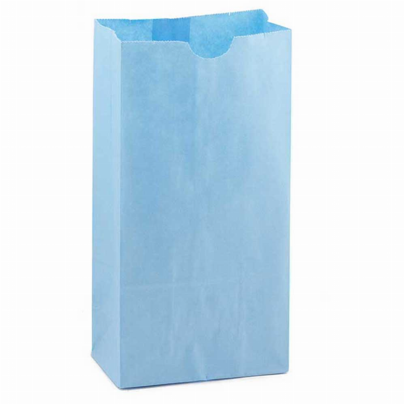 Paper Bags -  #4 Blue