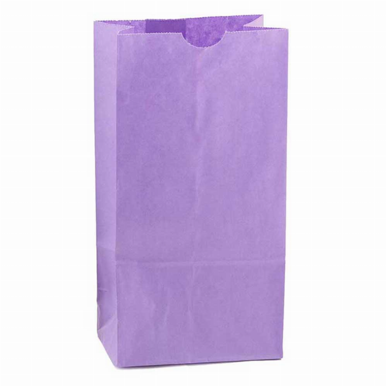 Paper Bags -  #4 Purple