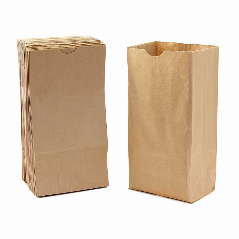 Paper Bags -  #6 Natural/ Kraft