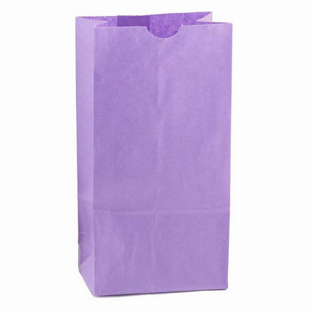 Paper Bags -  #6 Purple