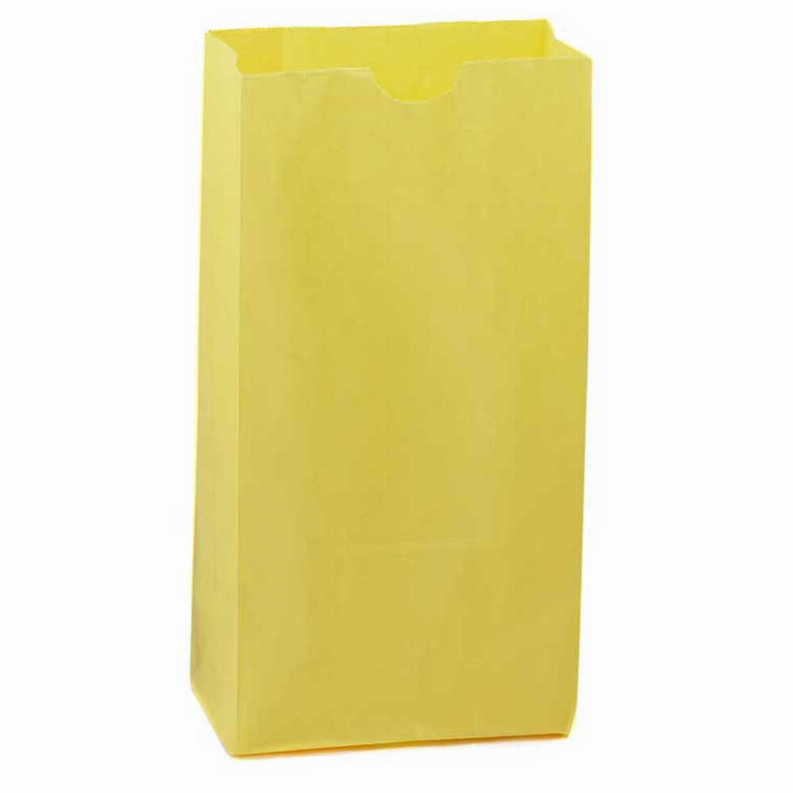 Paper Bags -  #6 Yellow