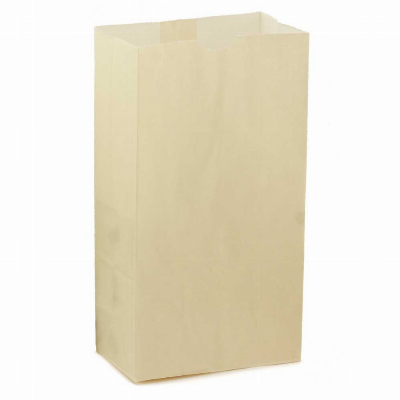 Paper Bags -  #6 Cream