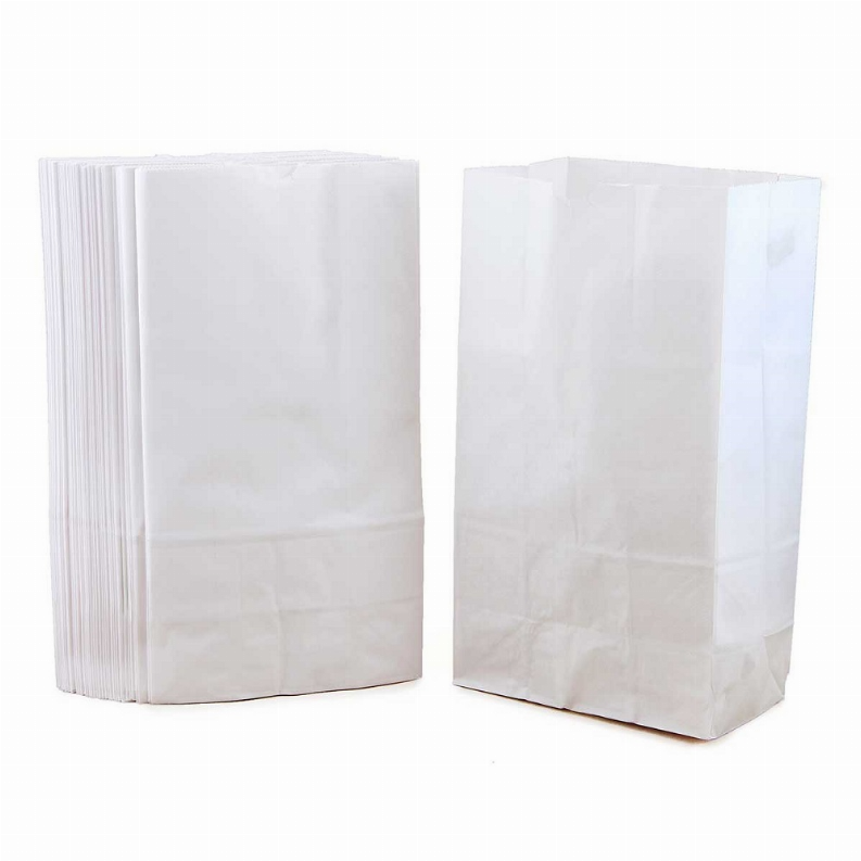 Paper Bags -  #6 White